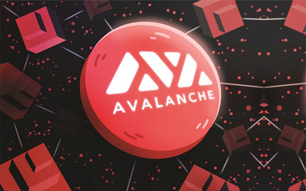 What is the AVAX C chain? Instructions for using the avalanche wallet