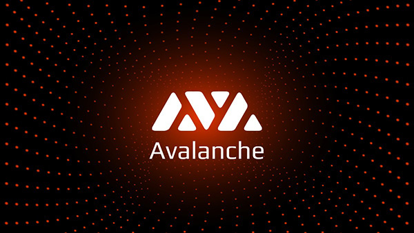 What is the AVAX C chain? Instructions for using the avalanche wallet