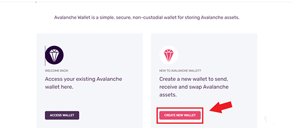 What is the AVAX C chain? Instructions for using the avalanche wallet